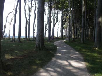 PICT0095