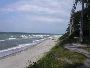 PICT0098